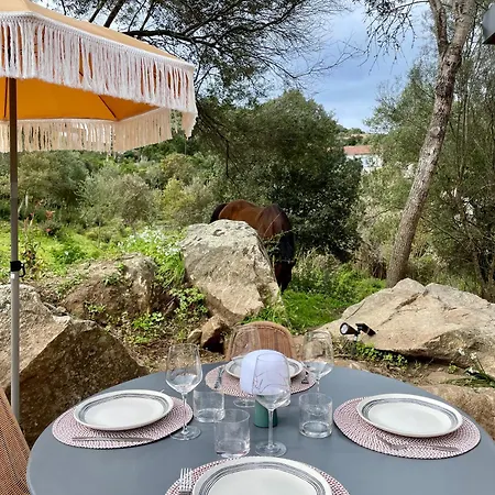 Holiday home Caseddu 100m De La