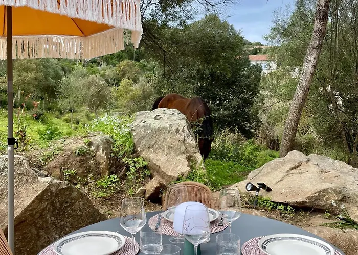 別荘 Caseddu 100m De La